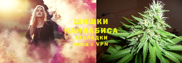 ГАЛЛЮЦИНОГЕННЫЕ ГРИБЫ Верхний Тагил