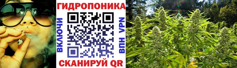Конопля OG Kush Пермь